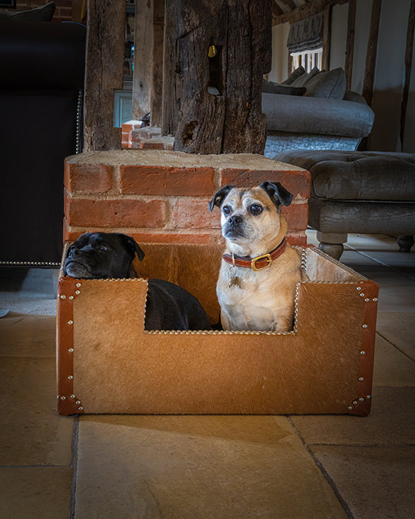 Luxury Dog Bed Trunk Style Collection