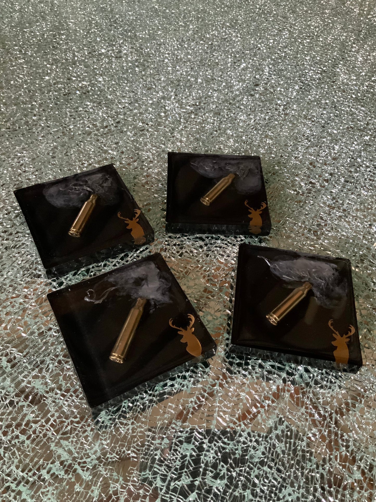 The Target Shooter Coaster