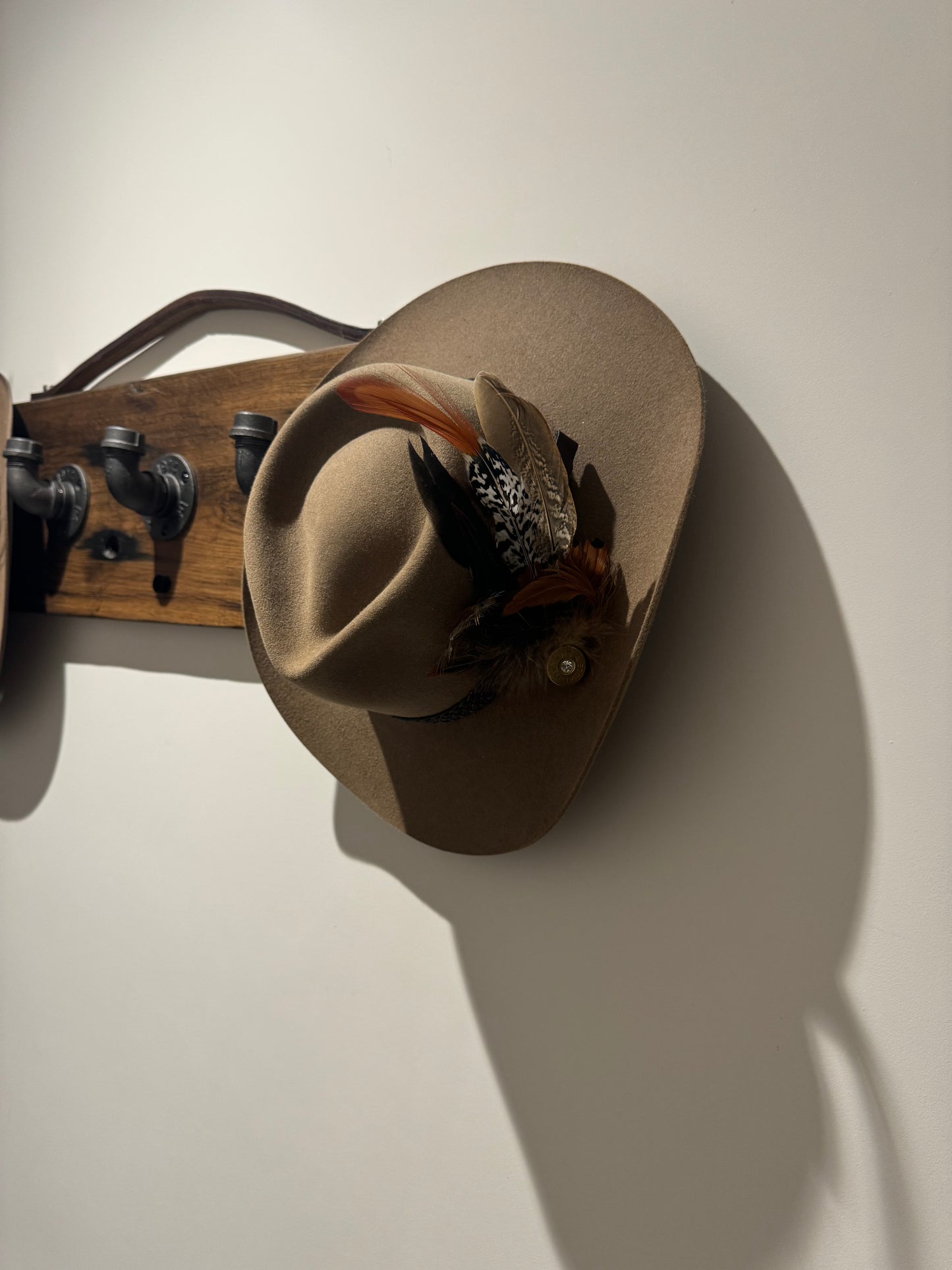 Tail of lady Amherst