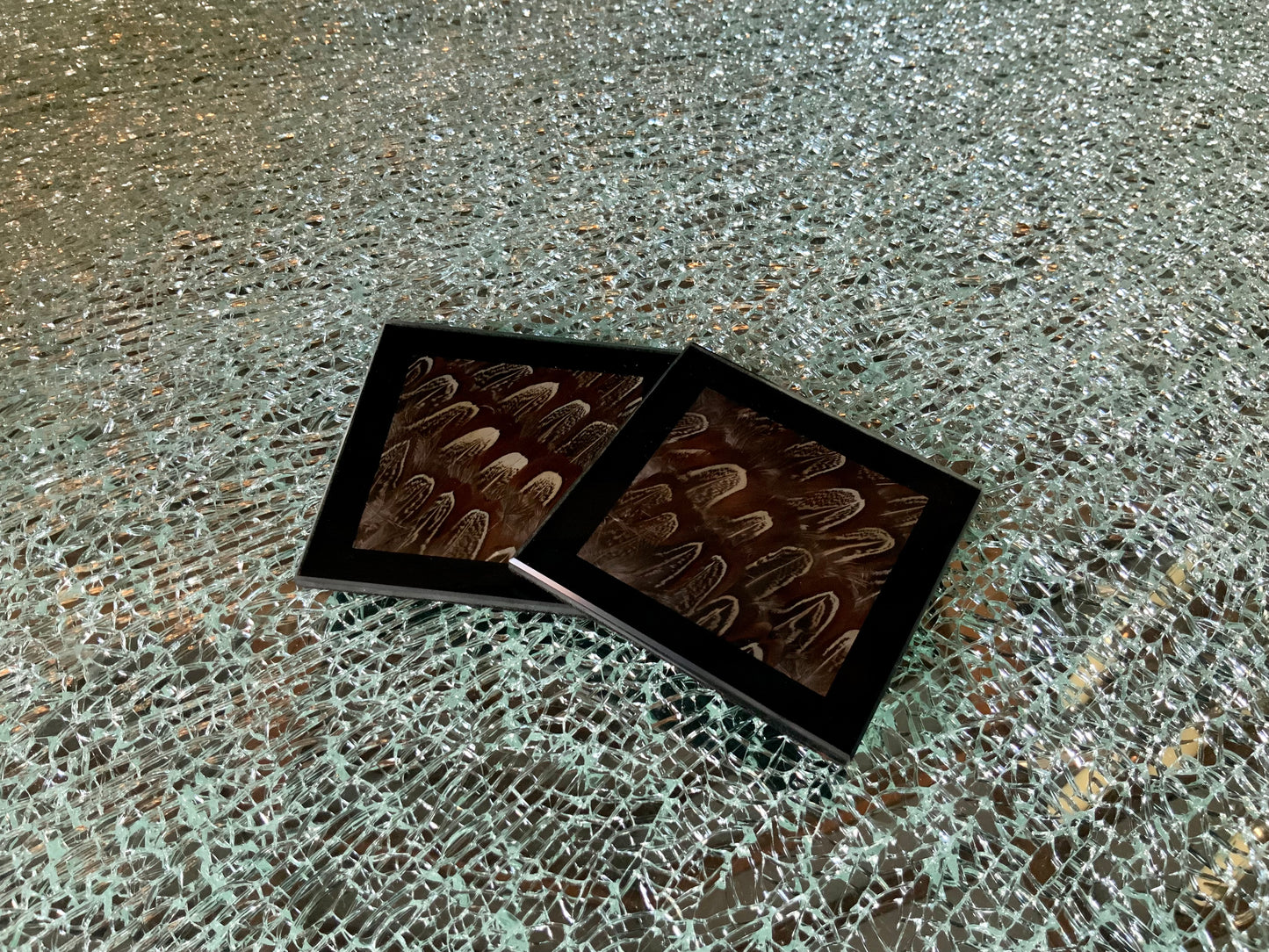Cock Pheasant Glass Coaster
